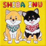 日本　柴犬兄弟
