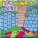 神奈川　鎌倉 谷戸の紫陽花