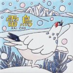 長野　雪山の雷鳥