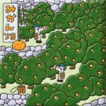 和歌山　みかん畑