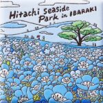 茨城　ひたち海浜公園