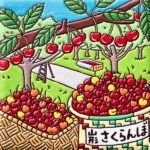 山形　さくらんぼ